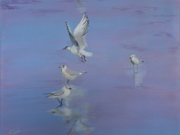 Mouettes